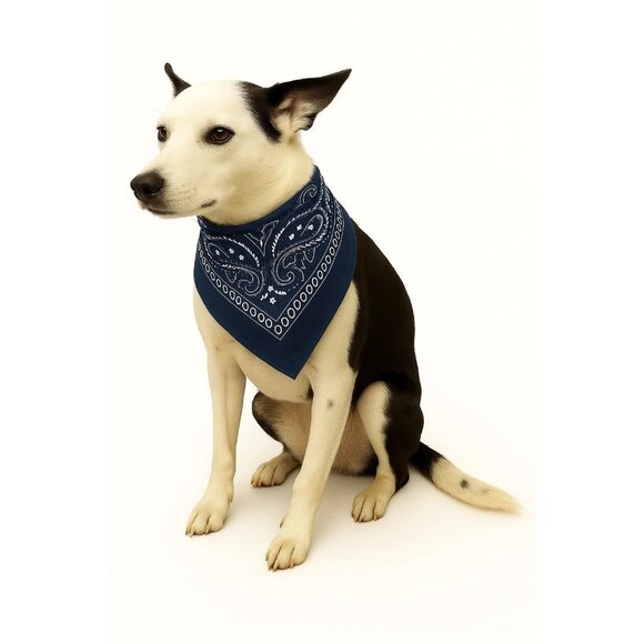 Pink Purple Gray Colorful Bandanas 21x21 Inch Square Western Style - Picture 8 of 9